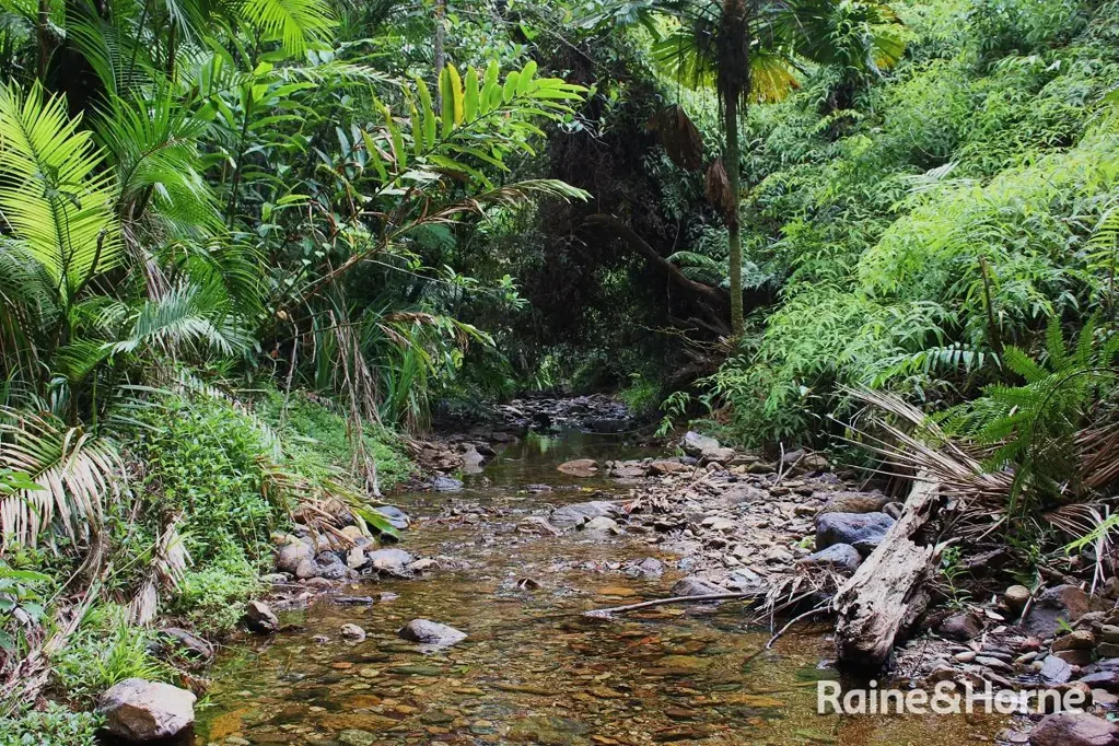 Cow Bay 2房  Private Daintree Home with Gorgeous Creek
