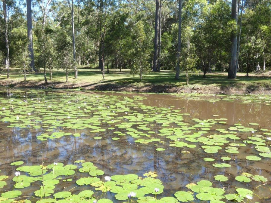 7 BUGDENS RD, YANDARAN QLD 4673, 0房, 0浴, Lifestyle Property