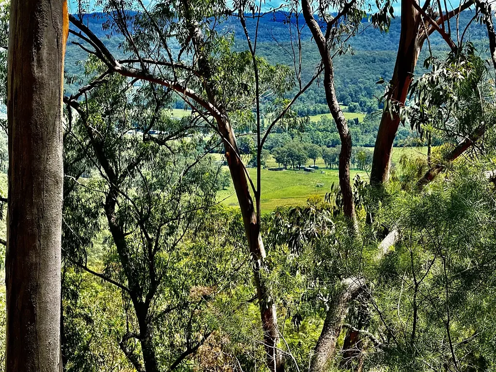 Wollombi Private Bushland Escape