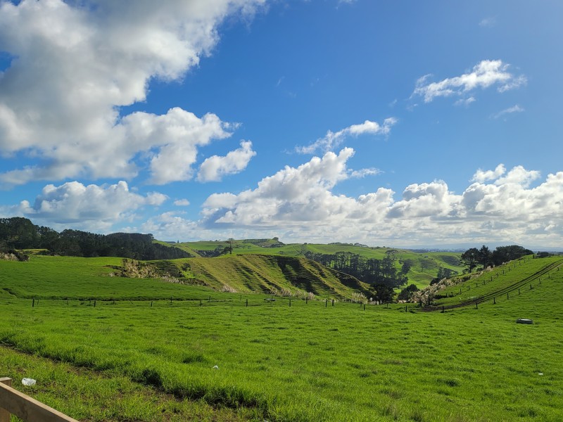 Pinaki Road, Te Kopuru, Kaipara, 0 rūma, 0 rūma horoi