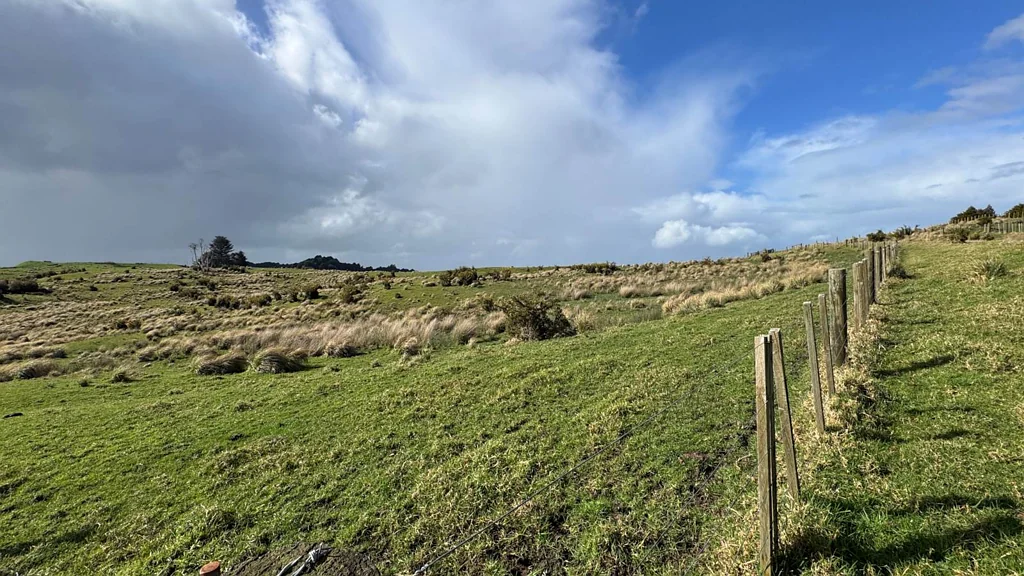 Wainui  TWO UNPOLISHED DIAMONDS — YOUR FUTURE STARTS HERE!