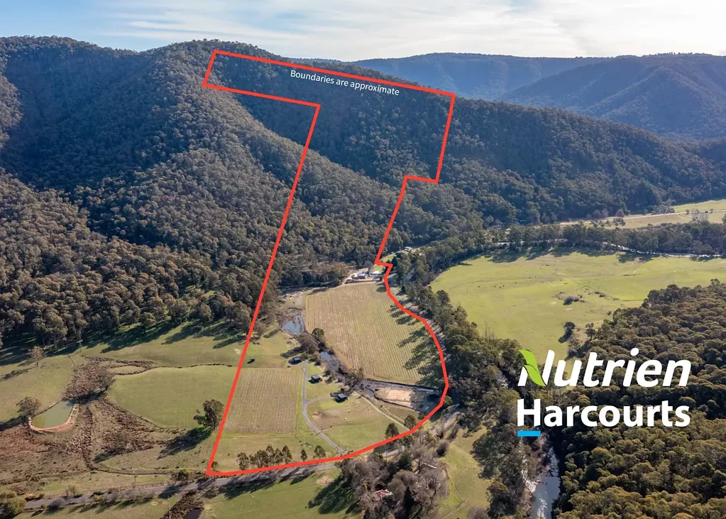Cheshunt "Sambar Hills" King Valley. For Sale by Auction - Friday November 21st 1:00PM On Site - Unless Sold Prior