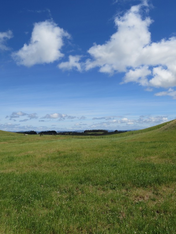 671 Sandel Road, Mangakino, Taupo, 0房, 0浴