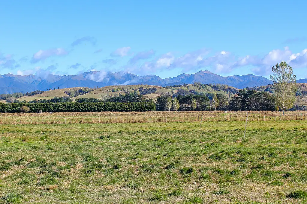Masterton 9 ha - 9 minutes to town