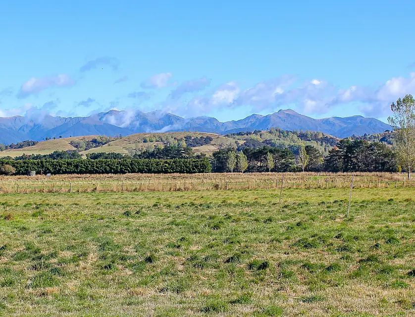 91 Budd Road, Masterton, Masterton, 0 રૂમ, 0 બાથરૂમ, Lifestyle Section