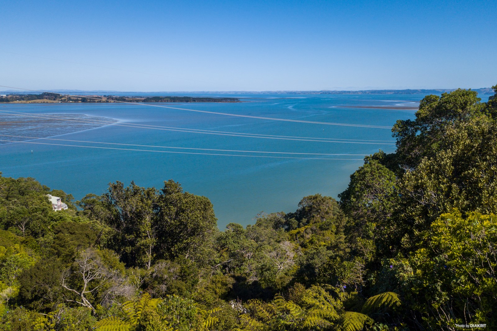 352 Hillsborough Road, Hillsborough, Auckland, 3房, 4浴, House