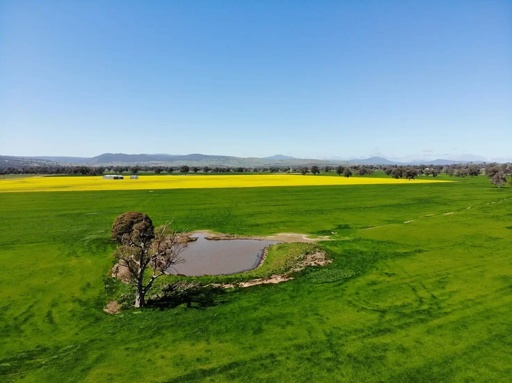 Barwite Exceptional Farming & Lifestyle Opportunity - Over 100 Acres with Stunning Views