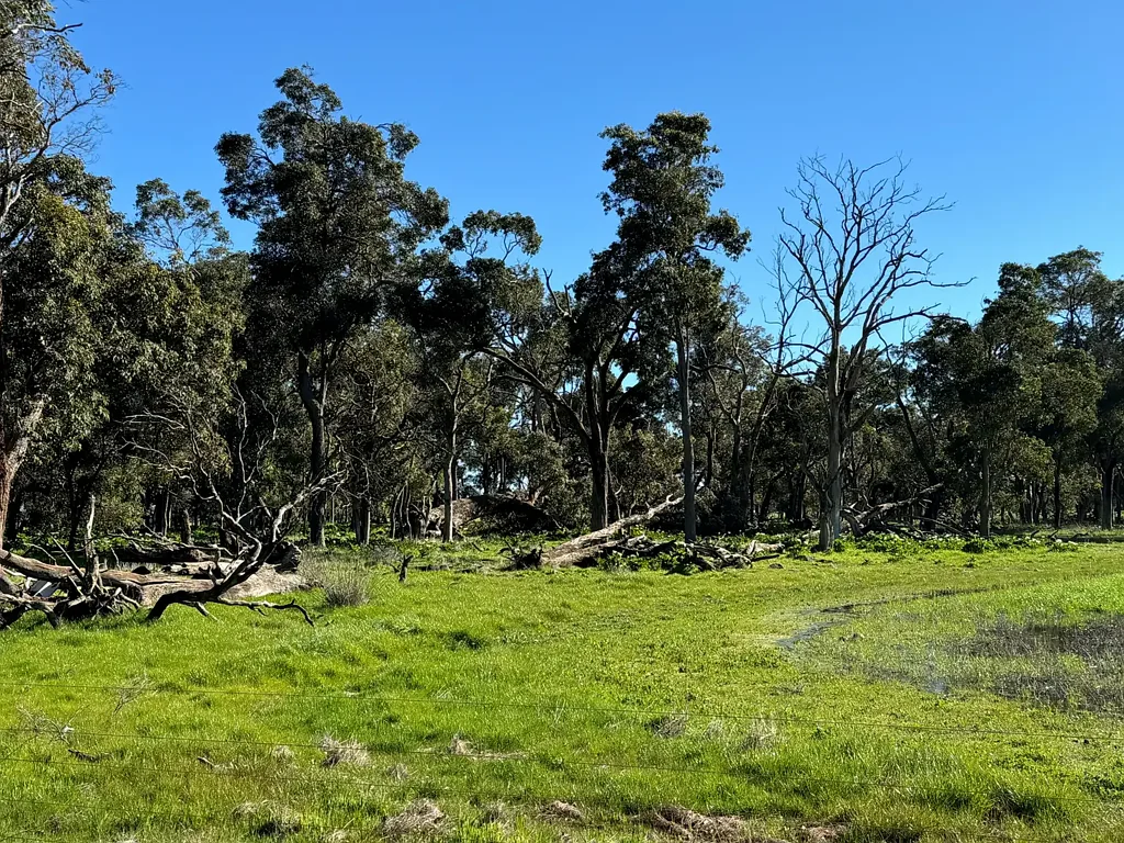 Busselton Premium productive grazing land close to Busselton CBD