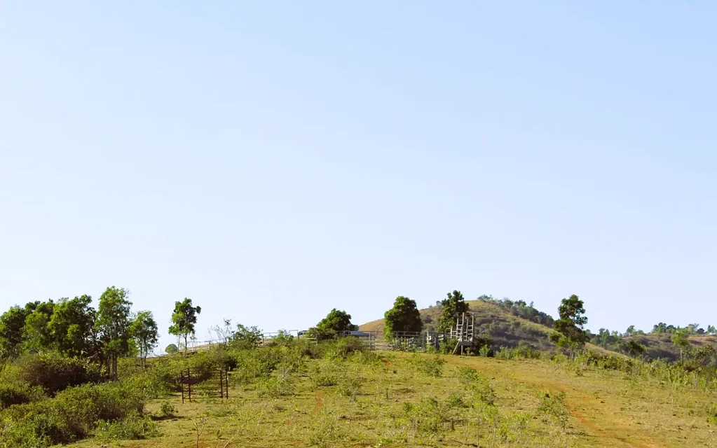 Bracewell  Well sought after scrub country located in the Bracewell District.....