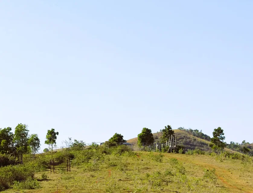 Lot 8/82 Kellys Road, Bracewell, QLD 4695, 0 slaapkamers, 0 badkamers, Lifestyle Property