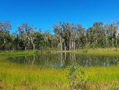 609 Matchbox Road, Deepwater, QLD 4674, 2 ਕਮਰੇ, 0 ਬਾਥਰੂਮ, Lifestyle Property