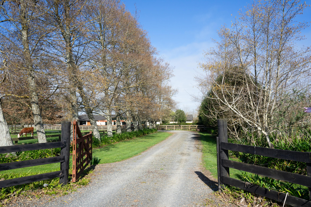 288 Bellevue Road, Matangi, Waikato, 4 Schlafzimmer, 0 Badezimmer