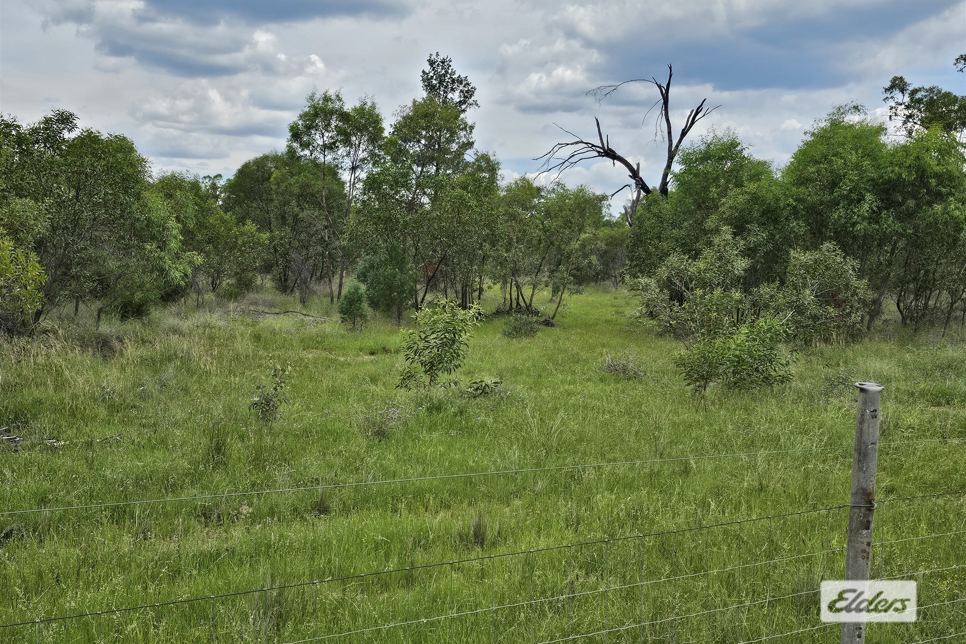 49 ELEANOR ST, MILES QLD 4415, 0 rūma, 0 rūma horoi, Lifestyle Property