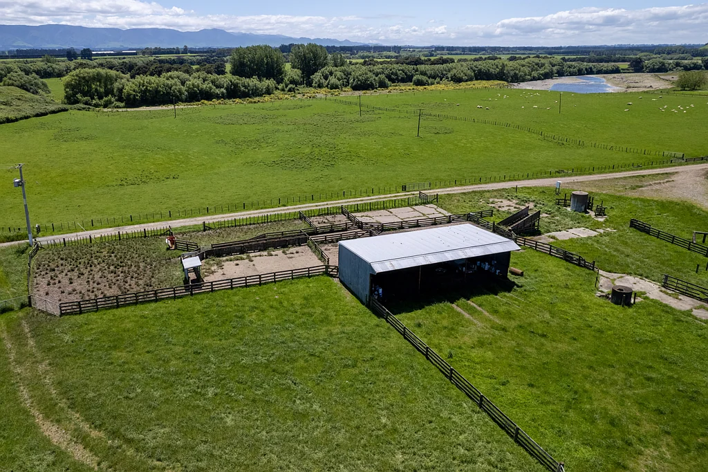 Dannevirke Wiha Farm - 94 ha