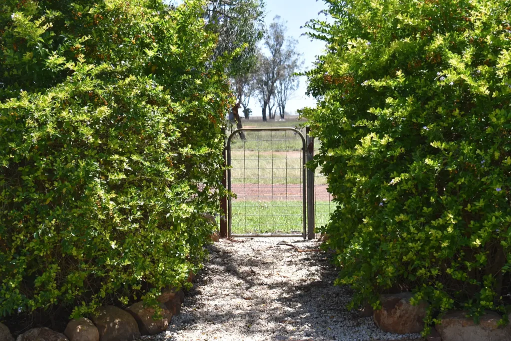 "Savannah" 438 Megine Road, Roma, QLD 4455