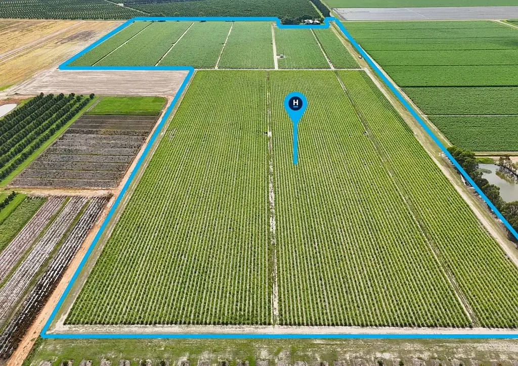 Alloway 50 ACRES 40 MEG WATER IN ALLOWAY = OPPORTUNITY