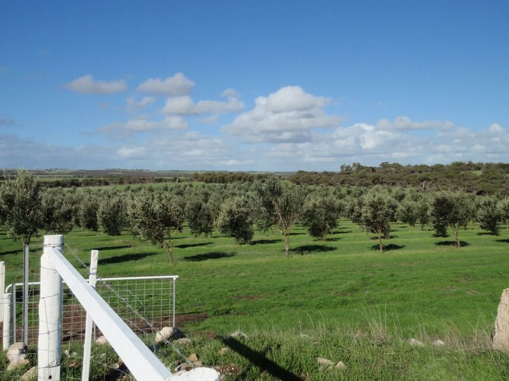 Bookara Rural Paradise - Huge Price Reduction!