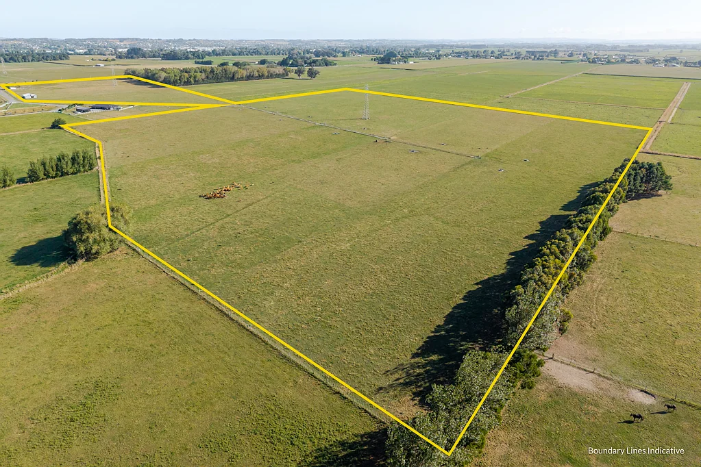 Feilding Camerons Line Opportunity