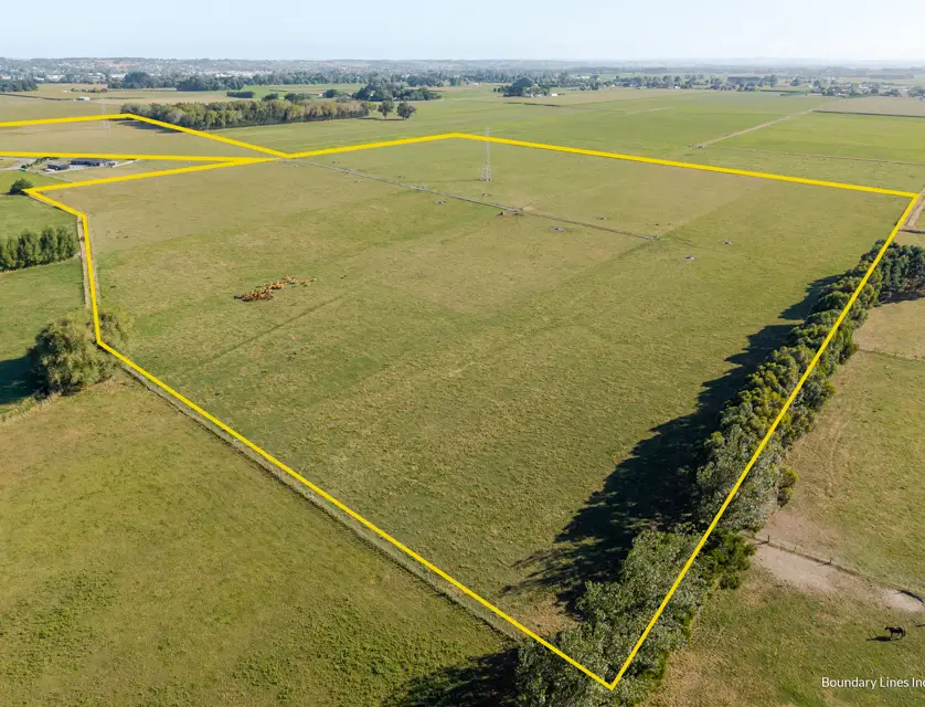 1228 Camerons Line, Feilding, Manawatu, 0 Bedrooms, 0 Bathrooms, Bare Land