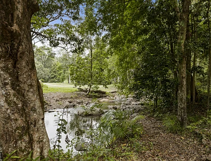 192 Booka Road, Upper Crystal Creek, North Coast, 1 habitaciones, 1 baños, Lifestyle Property