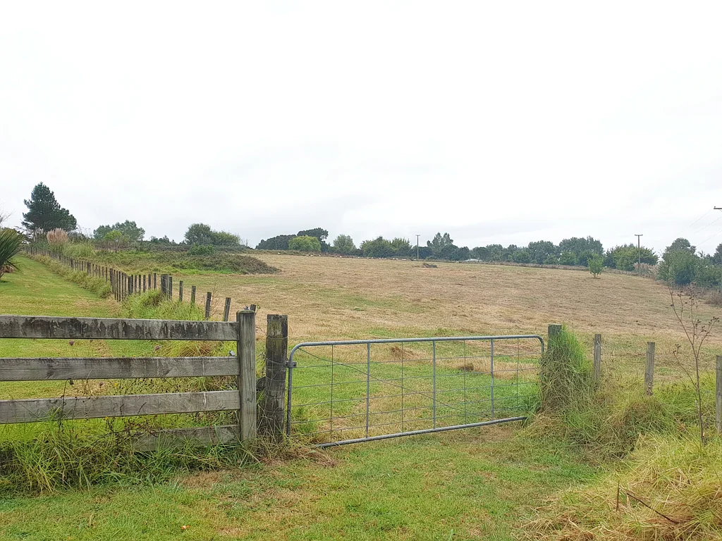 Dairy Flat Dairy Flat Prime Bare Land Future Urban