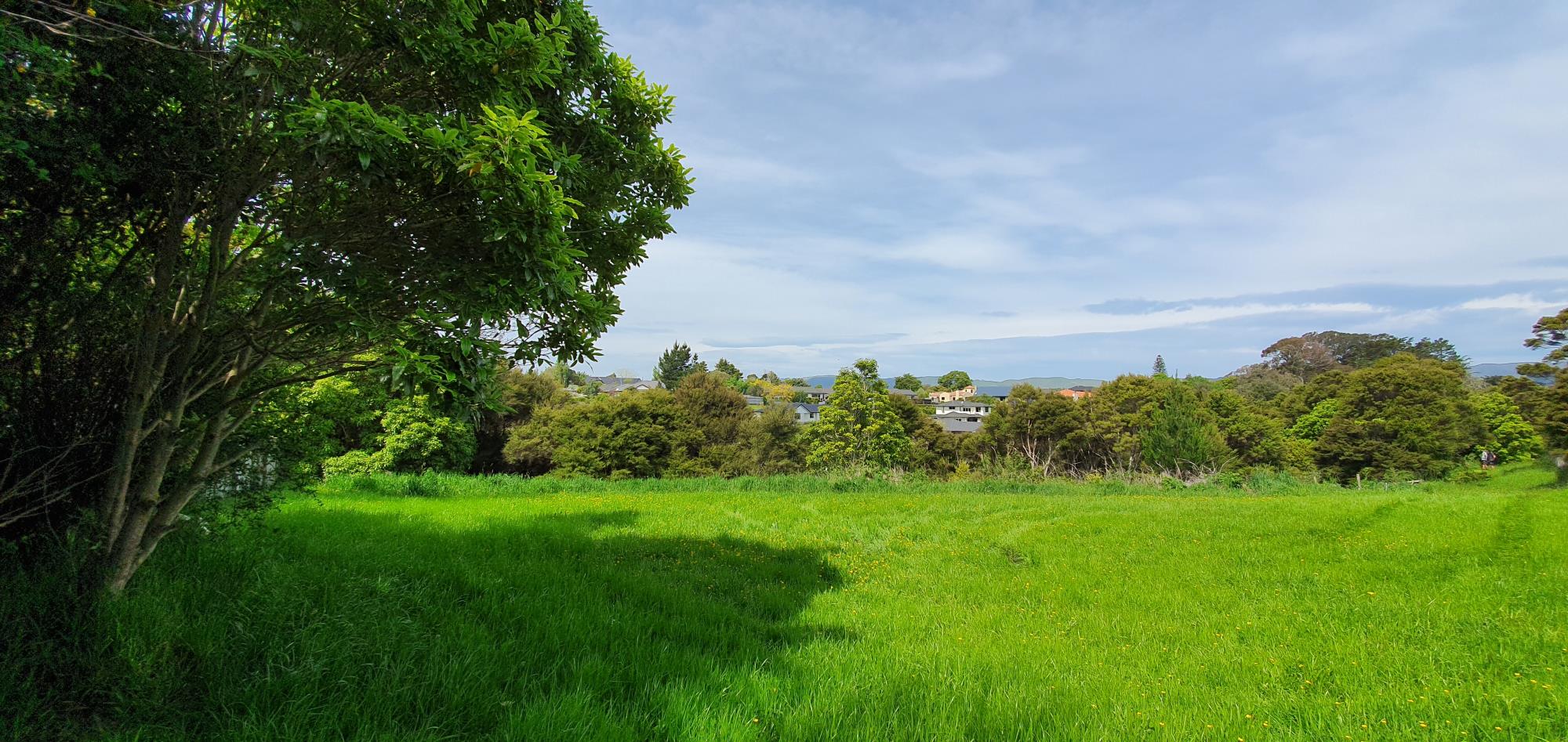 2 Three Paddock Lane, Fitzherbert, Palmerston North, 0房, 0浴