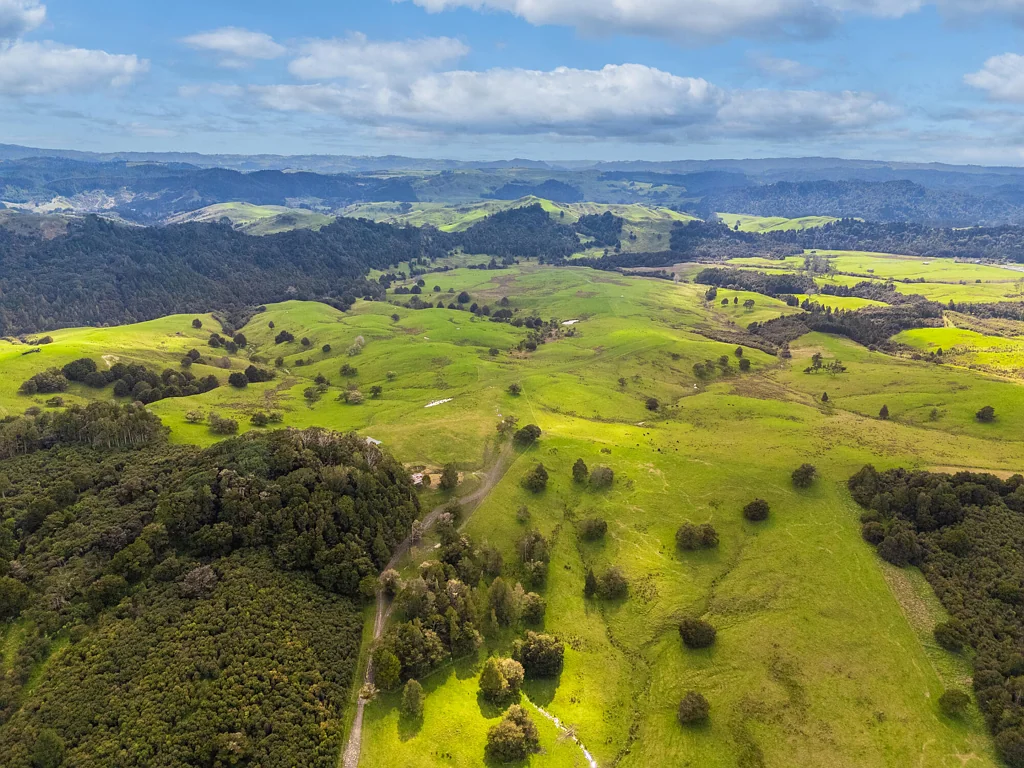 Kaukapakapa 103-Hectare Prime Landbank in Auckland