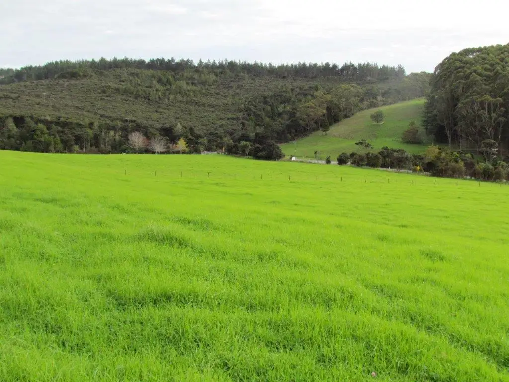 Langs Beach  Cove Road - Far Paddock