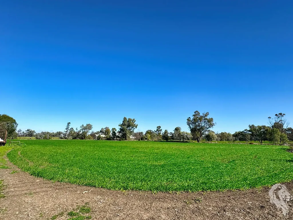 Wee Waa 3 Bedroom RARE 5.58HA HOLDING WITH TWO TITLES IN WEE WAA