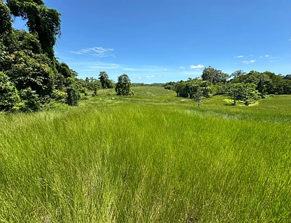 Adres Weerhou, Granadilla, QLD 4855, 4 slaapkamers, 1 badkamers, Lifestyle Property