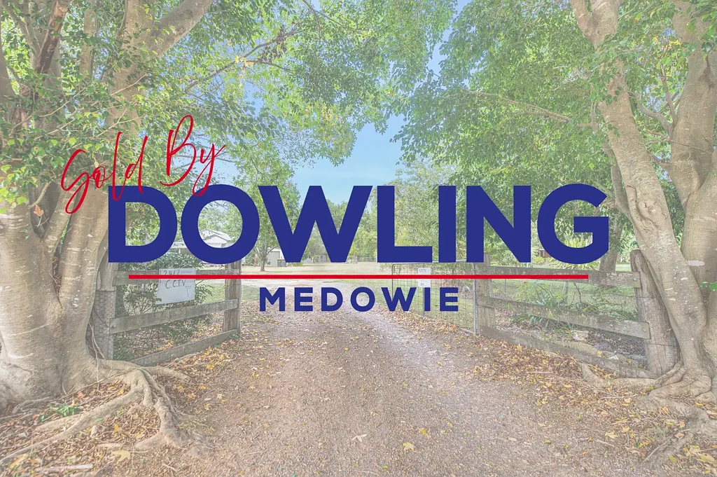 32 Ferodale Road, Medowie, NSW 2318