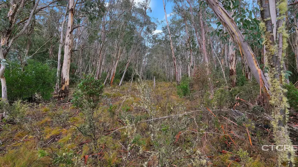 Bendoc  Escape to East Gippsland