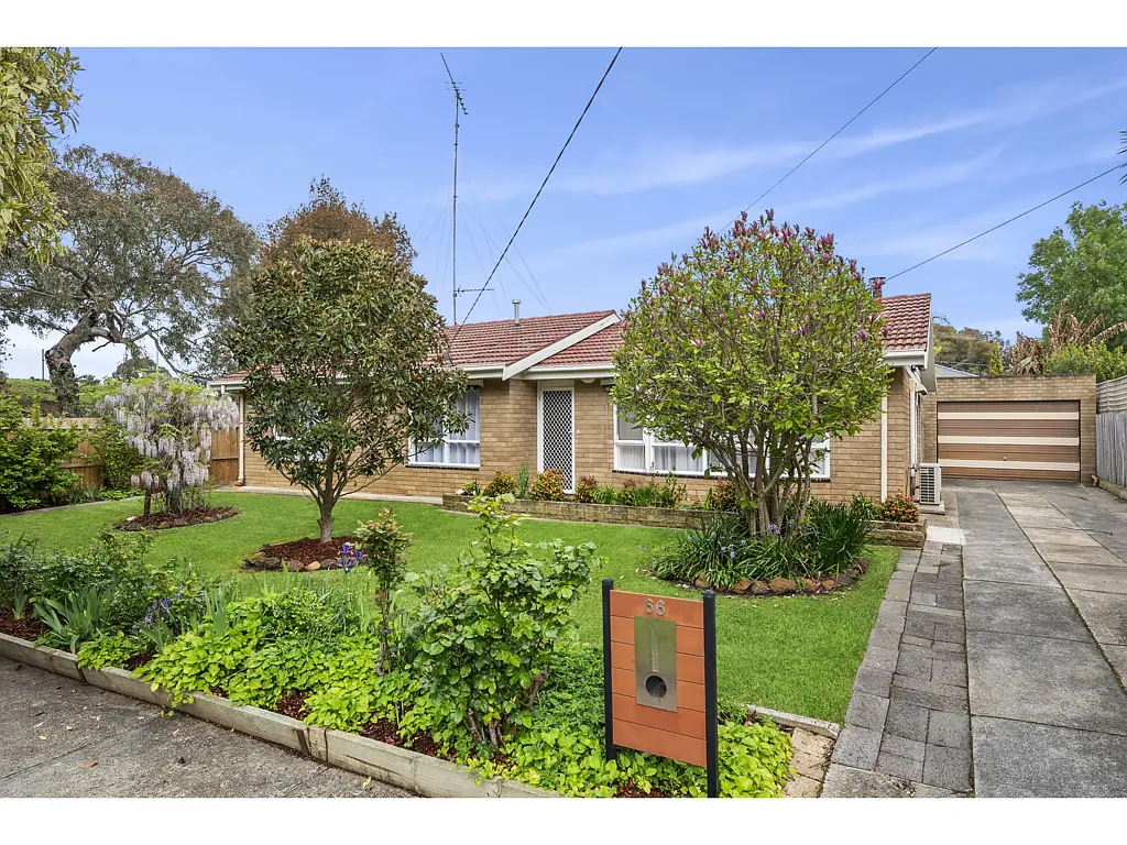 66 Iona Avenue, Belmont, VIC 3216