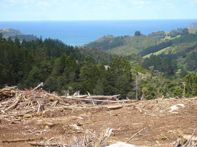 Russell Road, Kensington, Whangarei, 0 rūma, 1 rūma horoi