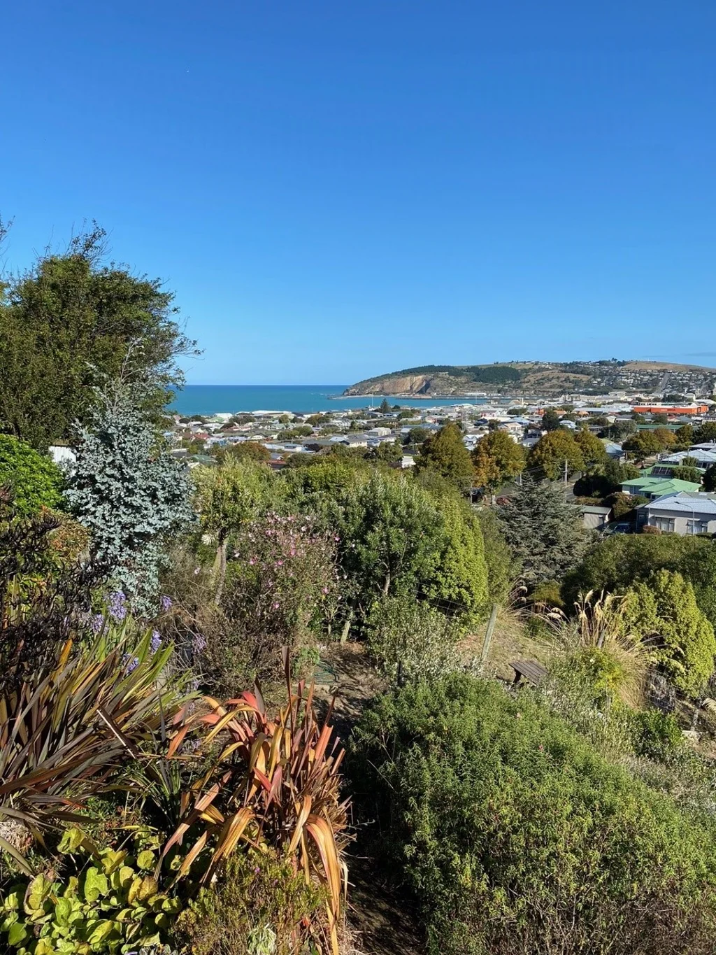 Oamaru  Bathed in Sun All Day & All Evening