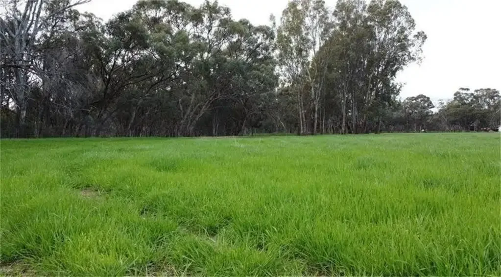 Echuca Village  LAND 1.2 ACRES- WALKING DISTANCE TO MURRAY RIVER