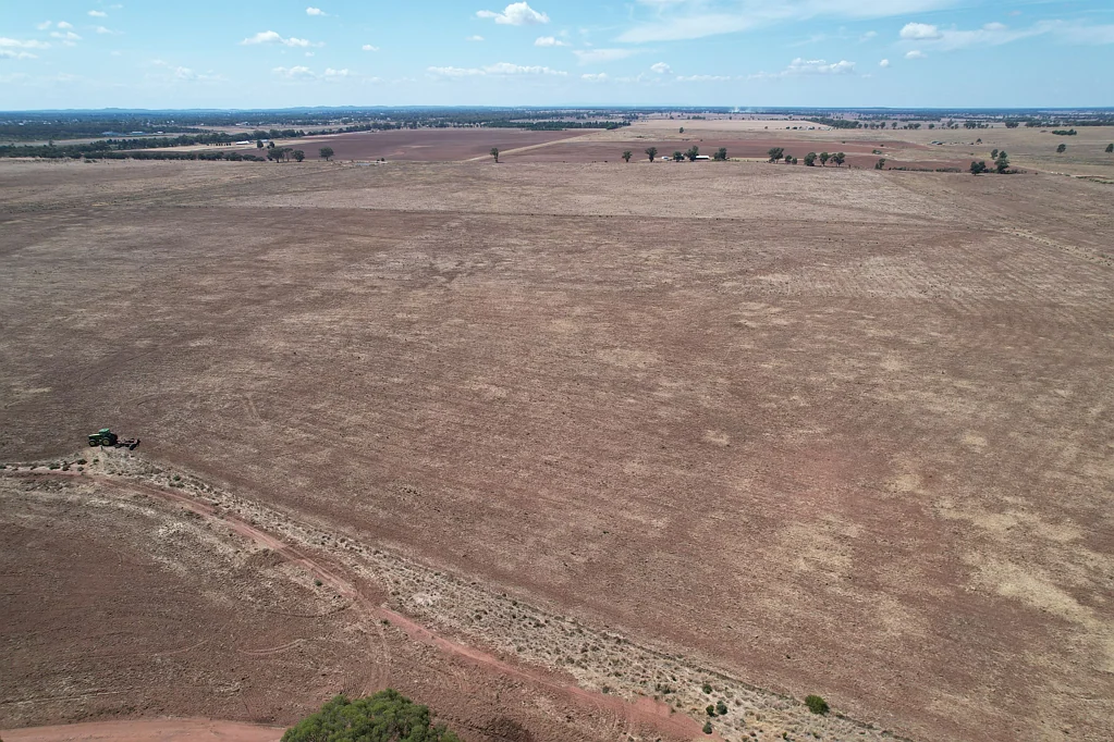 West Wyalong "Kanembo" 345 acres on the edge of West Wyalong