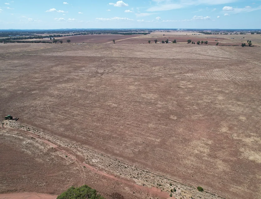 13166 Newell Highway, West Wyalong, Riverina, 0 Bedrooms, 0 Bathrooms, Lifestyle Property