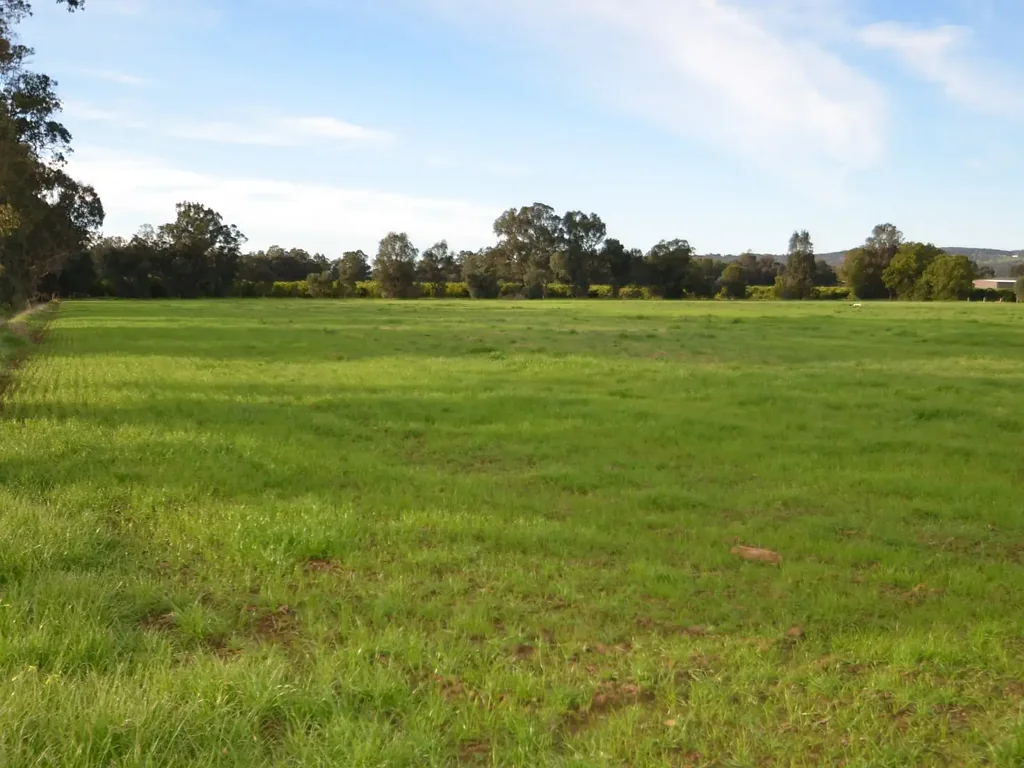 Harvey  10 Acres  (4.0469 ha) of Rural Land