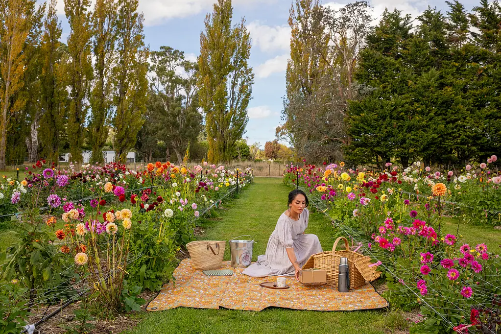 Featherston Iconic Greytown Honey; Home and Business