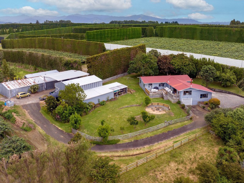 225 Tablelands Road, Opotiki Coastal, Opotiki, 0 Schlafzimmer, 0 Badezimmer