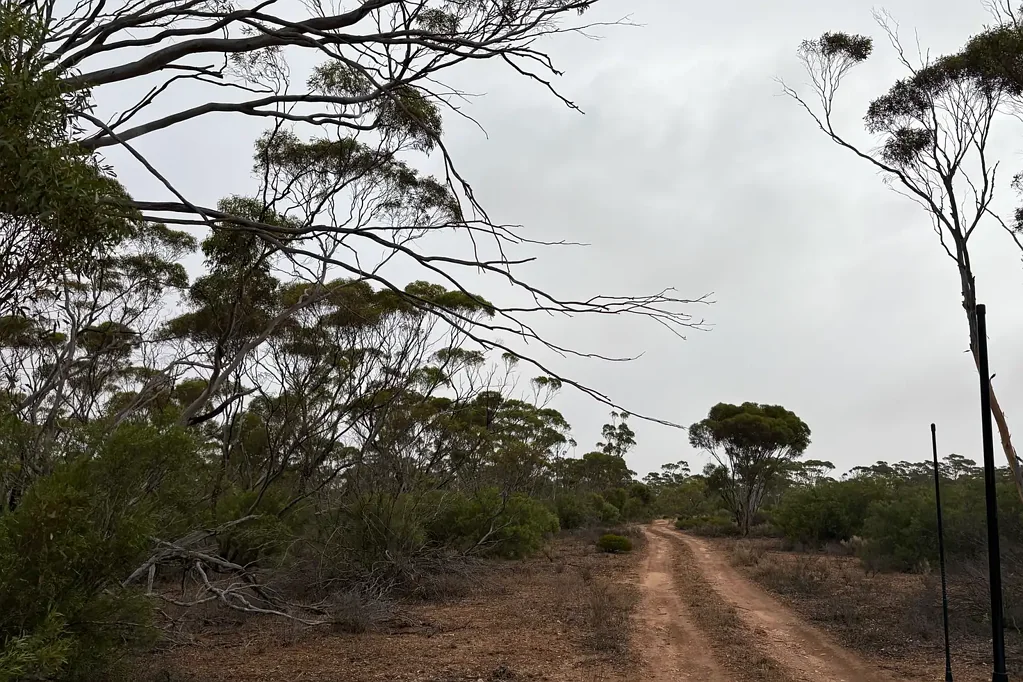 Lot 104 Cant Road, Kimba, SA 5641