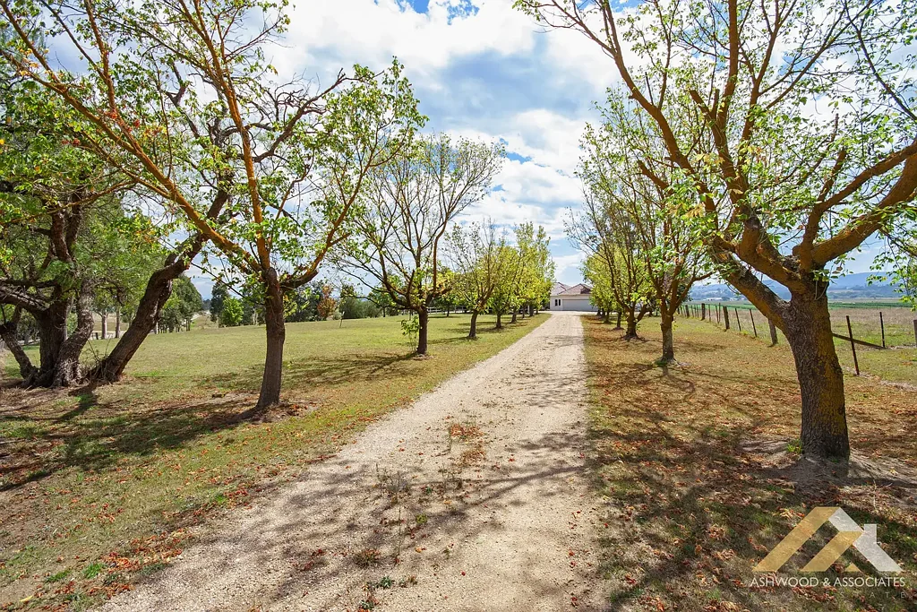 Hillside 4房  CHARACTER, CHARM & VALLEY VIEWS ON 3 ACRES