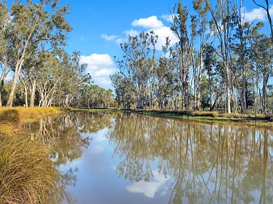 " Four Bar", Dalby, QLD 4405, 0房, 0浴, Lifestyle Property