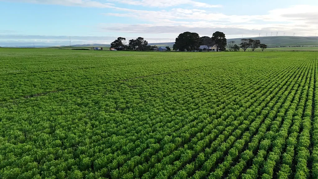 Burnsfield Productive Cropping Property with Excellent Accessibility