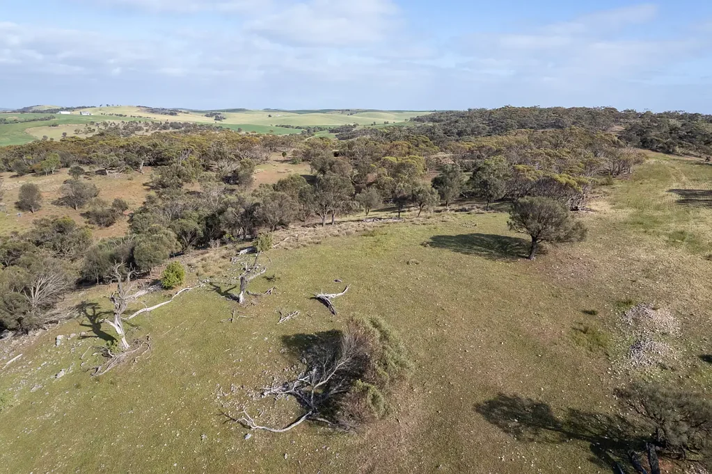 Lipson RURAL LIFESTYLE PROPERTY