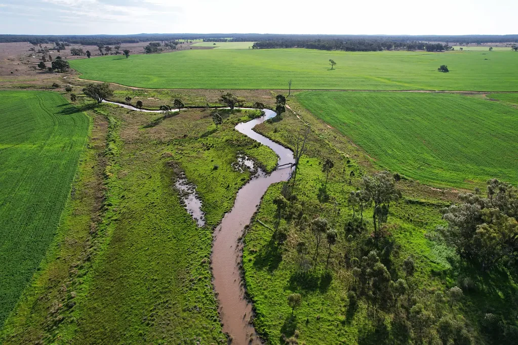 Tullamore Excellent mixed farming opportunity, current crop included