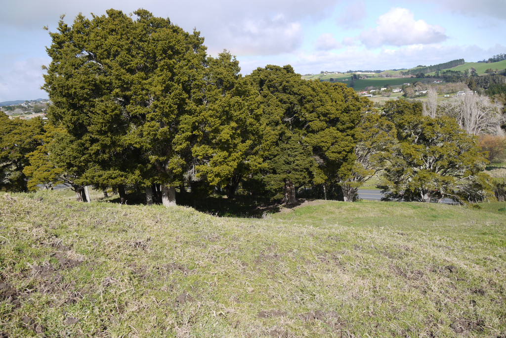 20 Bosher Road, Wellsford, Auckland - Rodney, 0房, 0浴