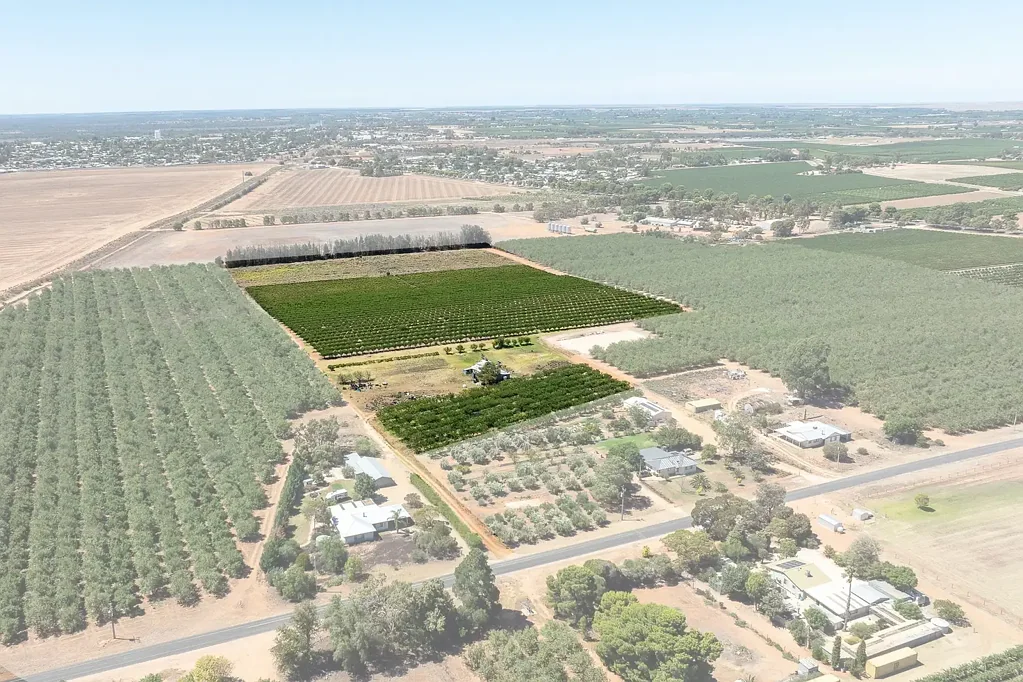 Loxton Horticultural Holding