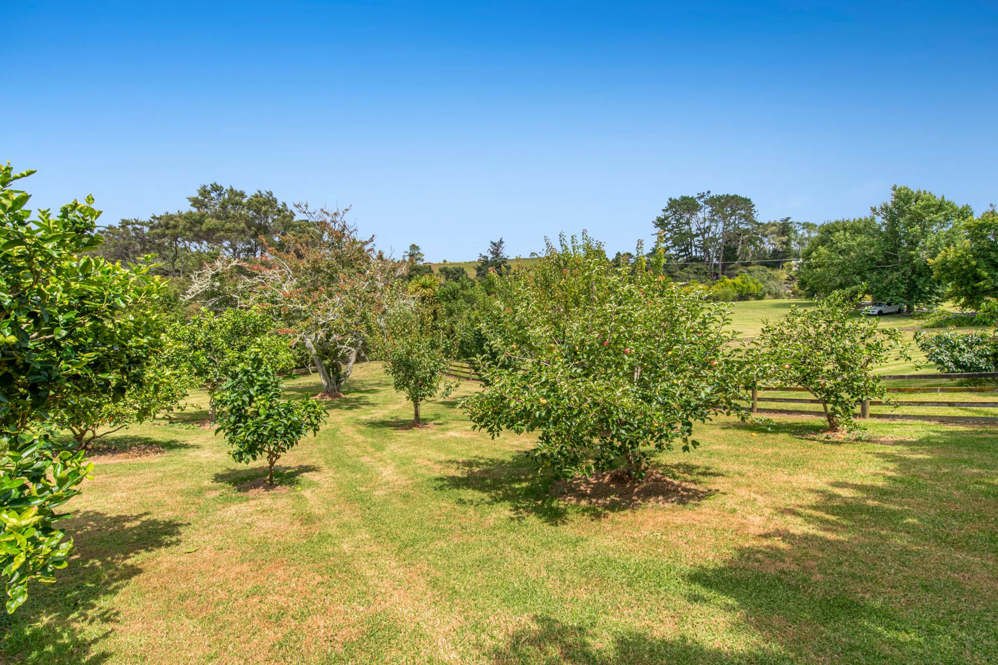 786 South Head Road, South Head, photo 8